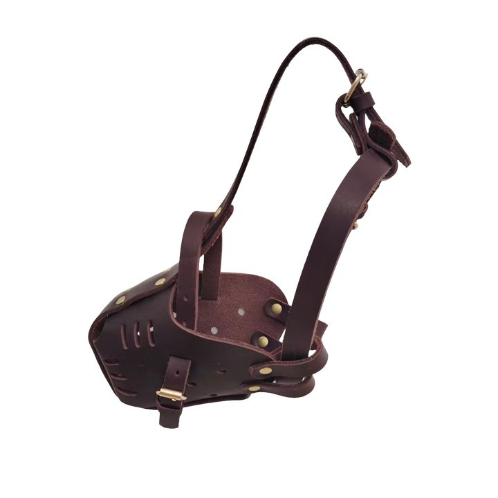 Dog Muzzle for Mastiff