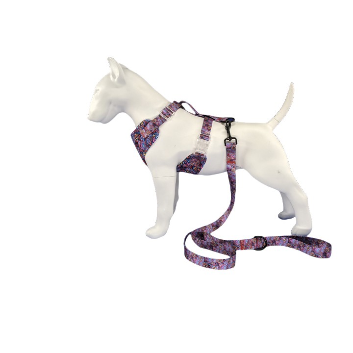 Dog harness and leash