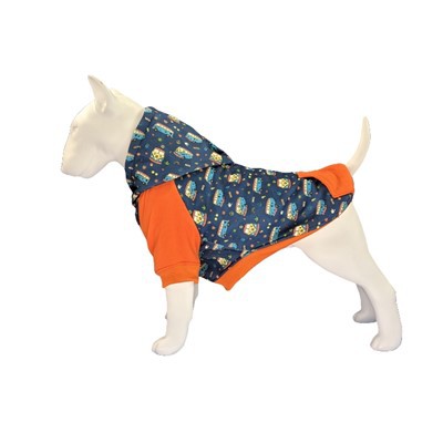 Dillad Cŵn ar gyfer y Gaeaf