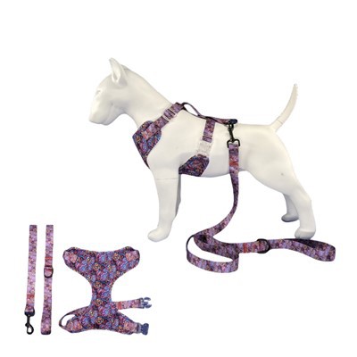 Set Harnais Cŵn a Leash