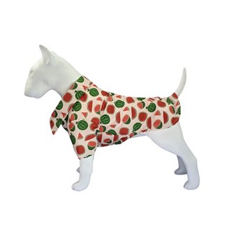 Crysau Cŵn ar gyfer Cŵn Bach