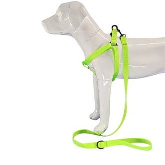 Harnais Cŵn Gwyrdd Lemon