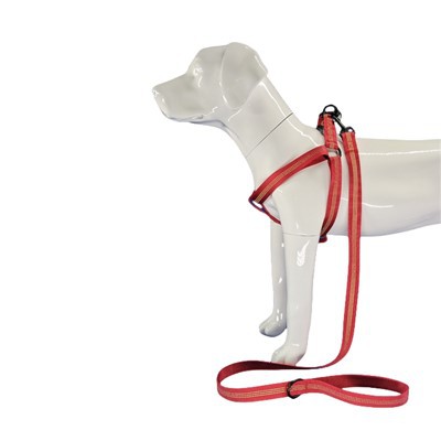 Goleuni yn Adlewyrchu Harnais Cŵn Coch