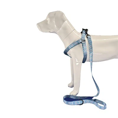 Cam neilon mewn Harnais Cŵn