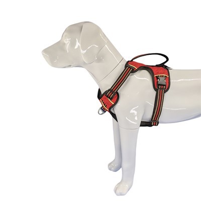 Harnais Ci Padio ar gyfer Cŵn Mawr