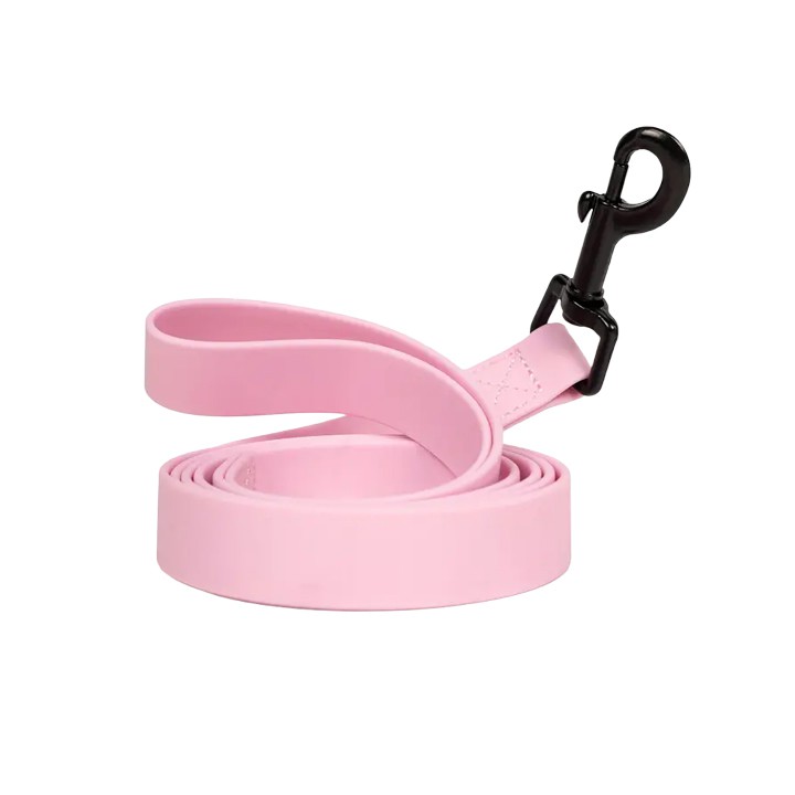 PVC Dog Leash