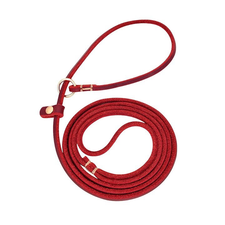 Slip Cow Leather  Dog Leash