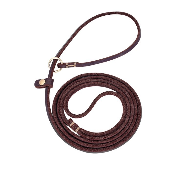 Slip Leather Dog Collar and Dog Leash