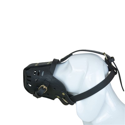 Muzzles Basged I Gŵn