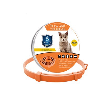 Coler Cath Ar Gyfer Trin Chwain a Thic