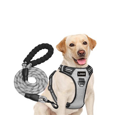 Harnais Ci Custom A Set Leash Cŵn