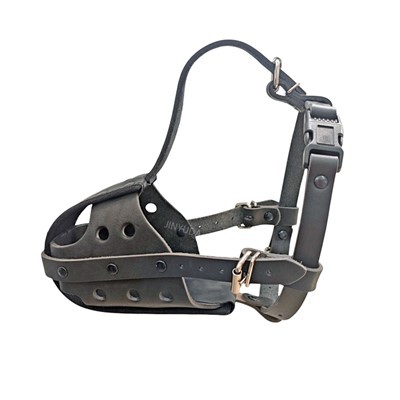 Muzzles Cŵn Ar Gyfer Cŵn Tarw