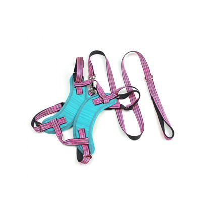 Dim Harnais Cŵn Tynnu A Set Leash