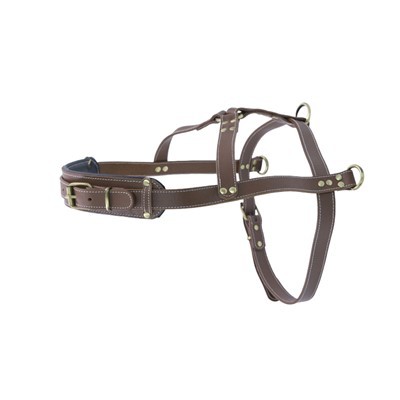 Harnais Cŵn Lledr Premiwm Ar gyfer Cŵn Mawr