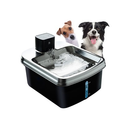 Ffynnon Dŵr Cŵn Clyfar