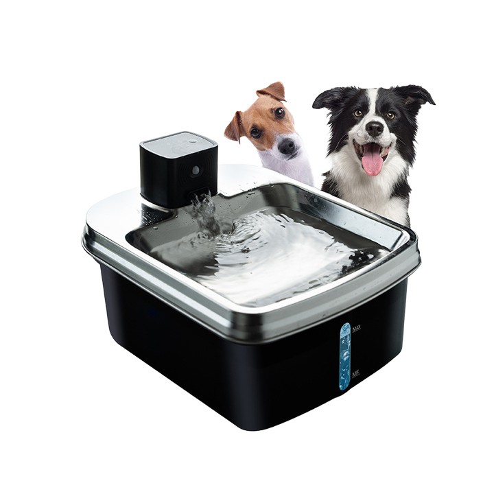 Ffynnon Dŵr Cŵn Clyfar